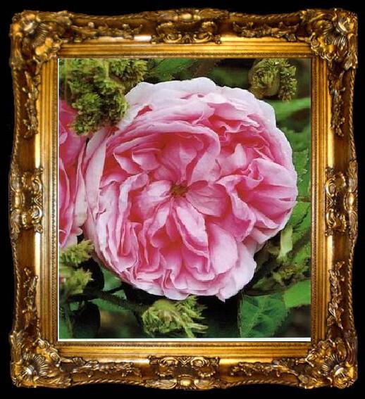 framed  unknow artist Still life floral, all kinds of reality flowers oil painting  307, ta009-2
